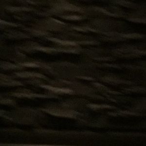 Meet your Posher, Daren